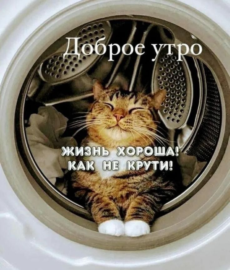 Доброе утро
жизнь хороша! как не крути!