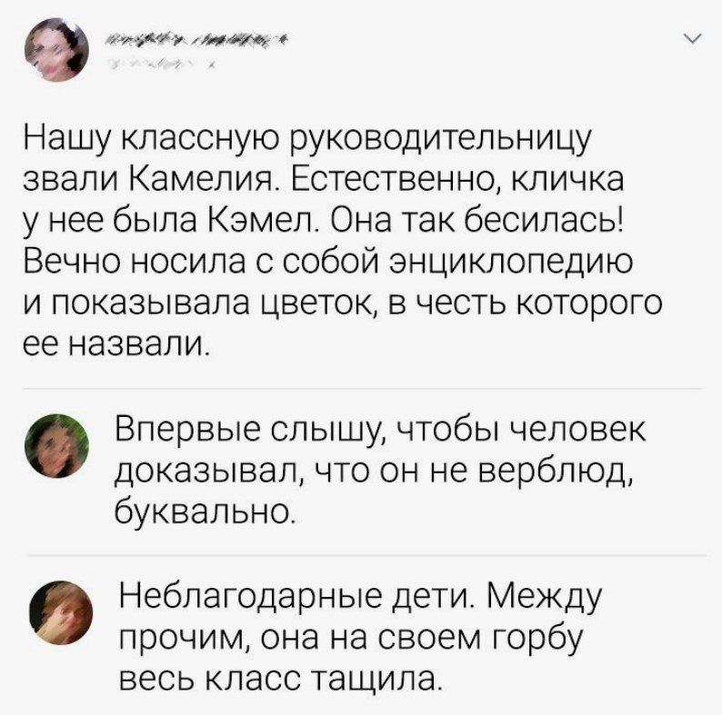 Нашу классную руководительницу звали Камелия. Естественно, кличка у нее была Кэмел. Она так бесилась! Вечно носила с собой энциклопедию и показывала цветок, в честь которого ее назвали.

Впервые слышу, чтобы человек доказывал, что он не верблюд, буквально.

Неблагодарные дети. Между прочим, она на своем горбу весь класс тащила.