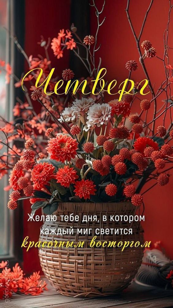 Четверг
Желаю тебе дня, в котором каждый миг светится красочным восторгом