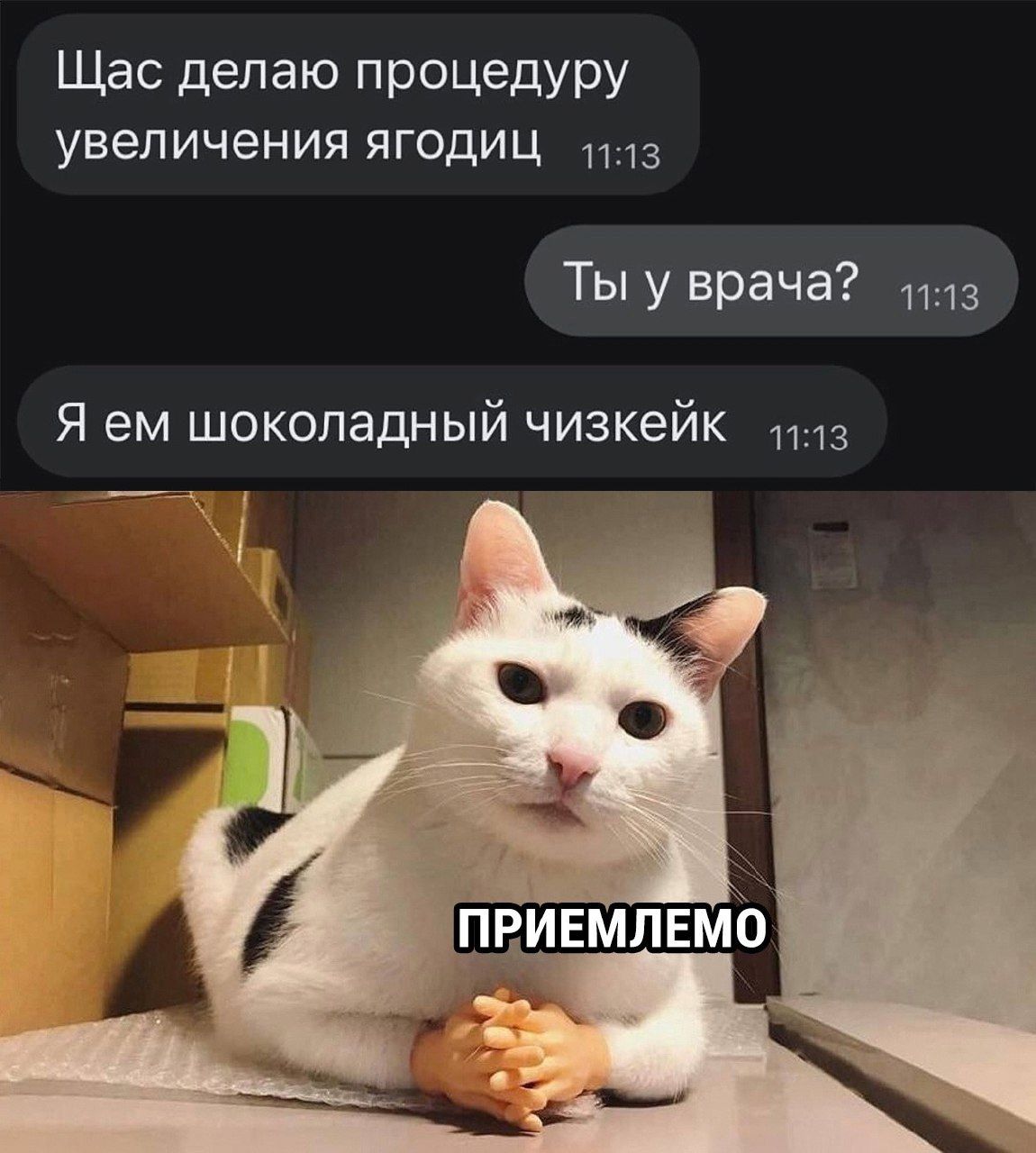 Щас делаю процедуру увеличения ягодиц
Ты у врача?
Я ем шоколадный чизкейк
ПРИМЕМЛЕМO