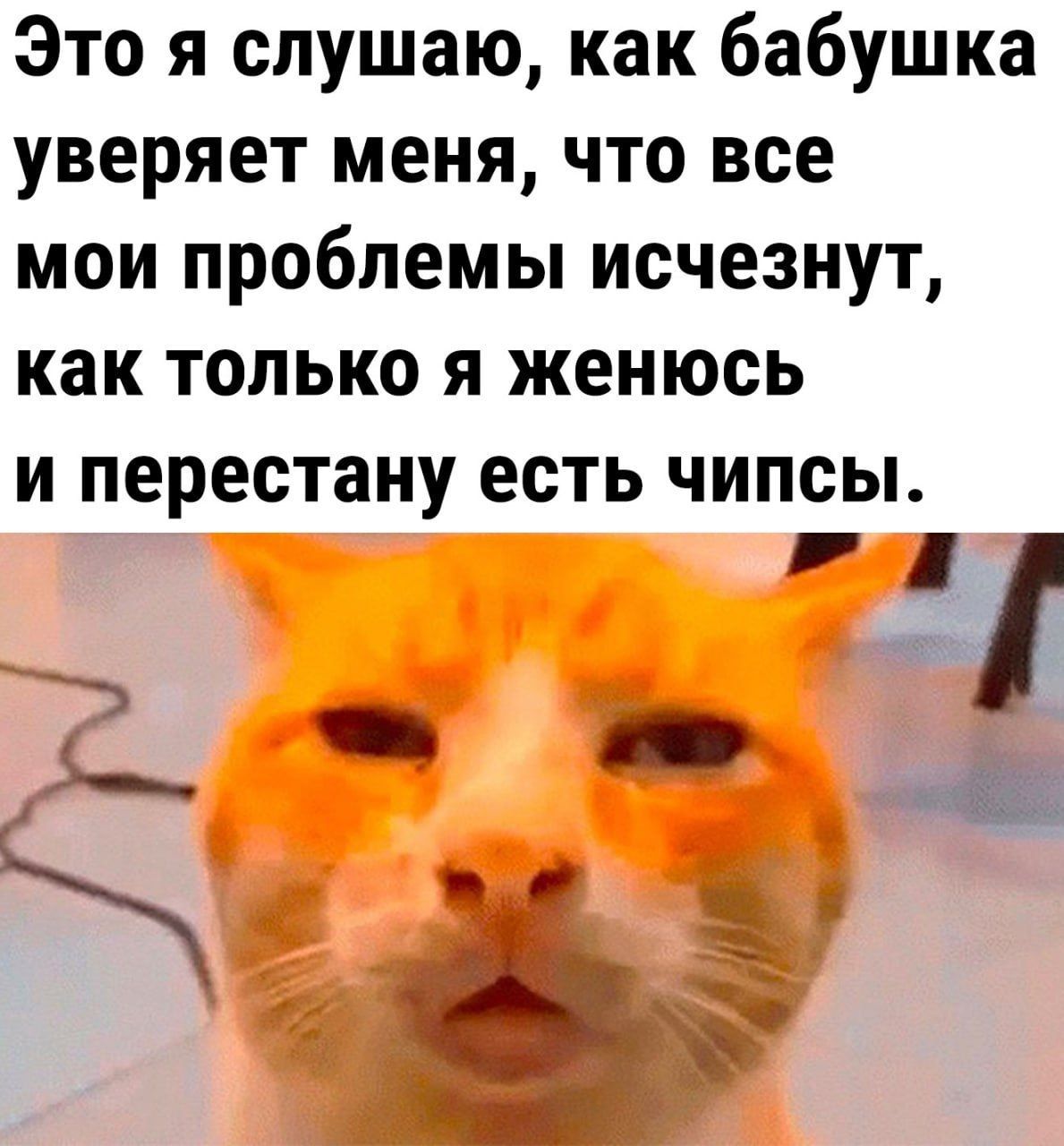 Это я слушаю, как бабушка убеждает меня, что все мои проблемы исчезнут, как только я женюсь и перестану есть чипсы.