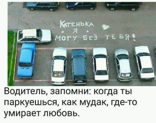 Каптенка, я могу без тебя! Водитель, запомни: когда ты паркуешься, как мудак, где-то умирает любовь.