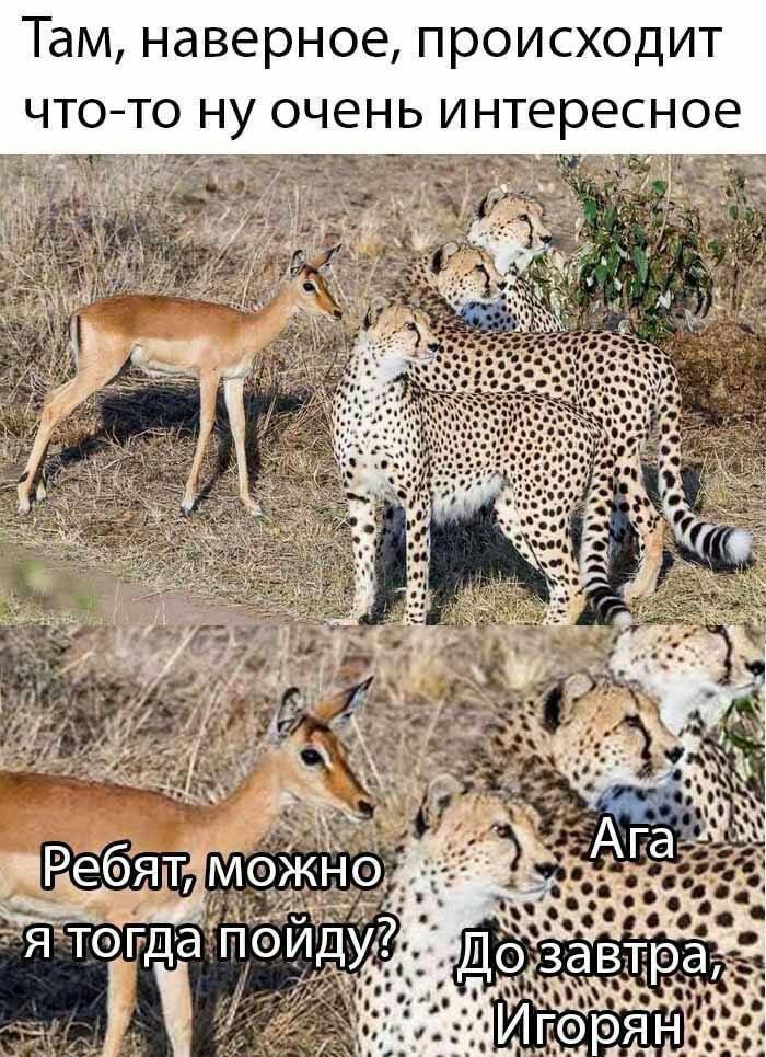 Там, наверное, происходит что-то ну очень интересное
Ребят, можно я тогда пойду? Ага
До завтра, Игорян