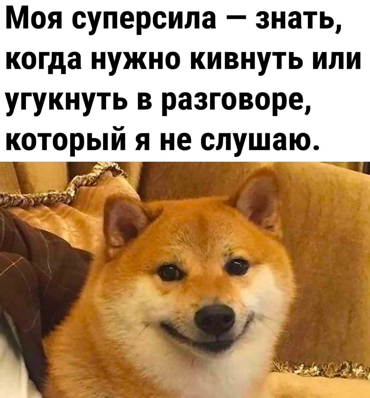 Моя суперсила — знать, когда нужно кивнуть или угунуть в разговоре, который я не слушаю.