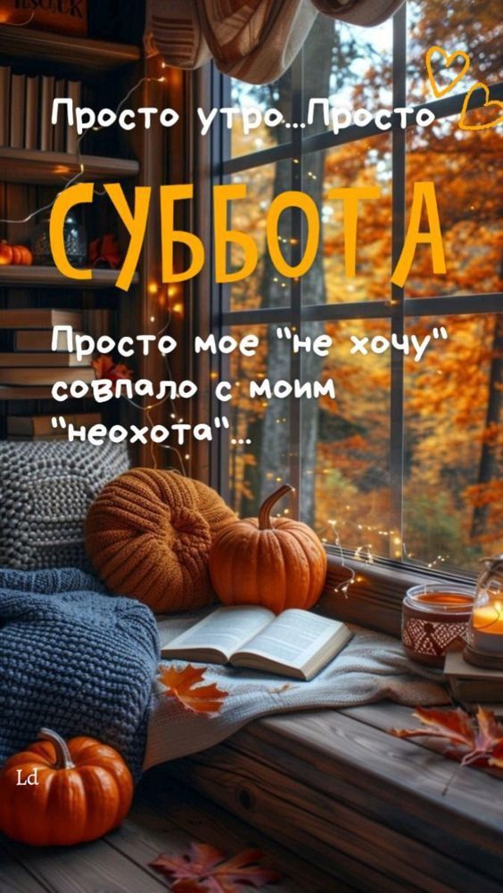 Просто утро...Просто СУББОТА
Просто мое 