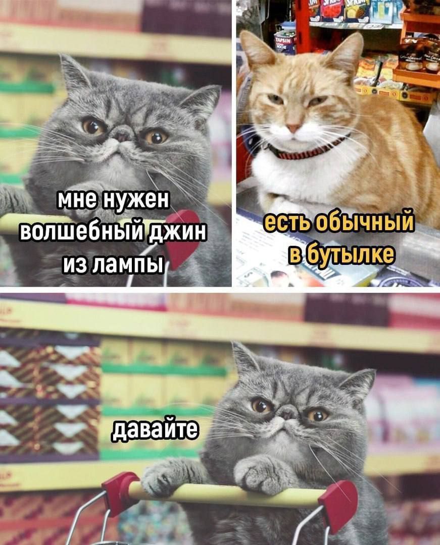 мне нужен волшебный джин из лампы
есть обычный в бутылке
давайте
