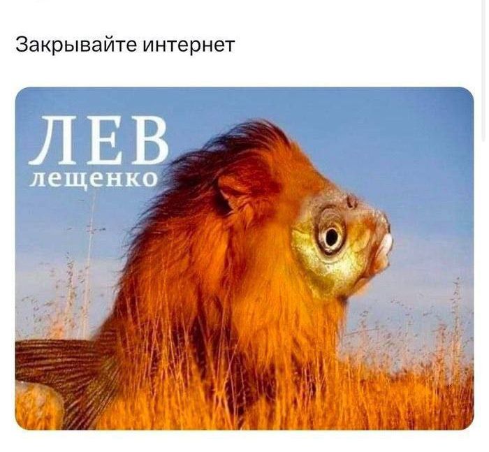 Закрывайте интернет
ЛЕВ лещенко