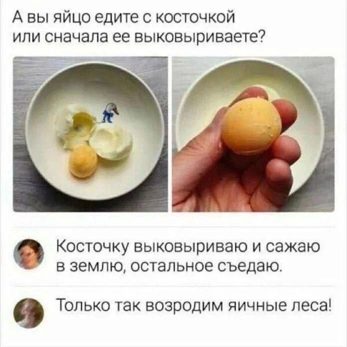 А вы яйцо едите с косточкой или сначала ее выкалываете? Косточку выковыриваю и сажаю в землю, остальное съедаю. Только так возродим яичные леса!