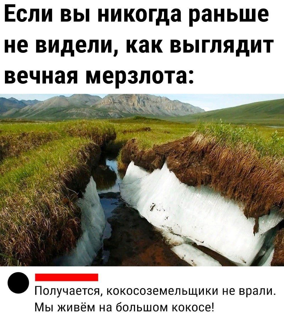 Если вы никогда раньше не видели, как выглядит вечная мерзлота:

Получается, кокосоземельщики не врали. Мы живём на большом кокосе!