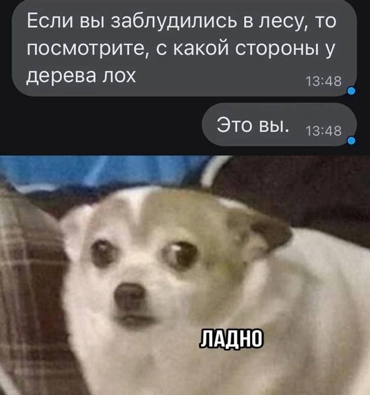 Если вы заблудились в лесу, то посмотрите, с какой стороны у дерева лох.
Это вы.
ЛАДНО
