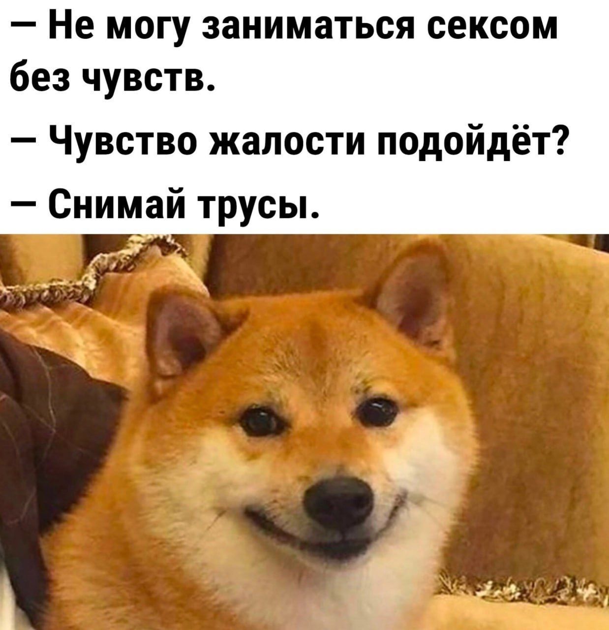— Не могу заниматься сексом без чувств.
— Чувство жалости подойдёт?
— Снимай трусы.