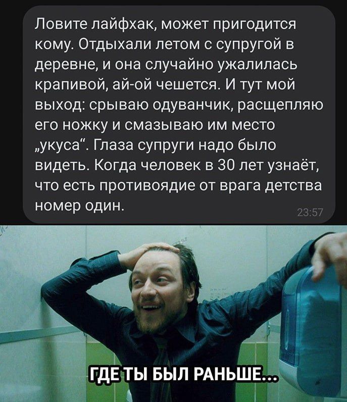 Ловите лайфхак, может пригодиться кому. Отдыхали летом с супругой в деревне, и она случайно укусила крапива, ай-ой чесется. И тут мой выход: срываю одуванчик, расцепляю его ножки и смазываю им место 