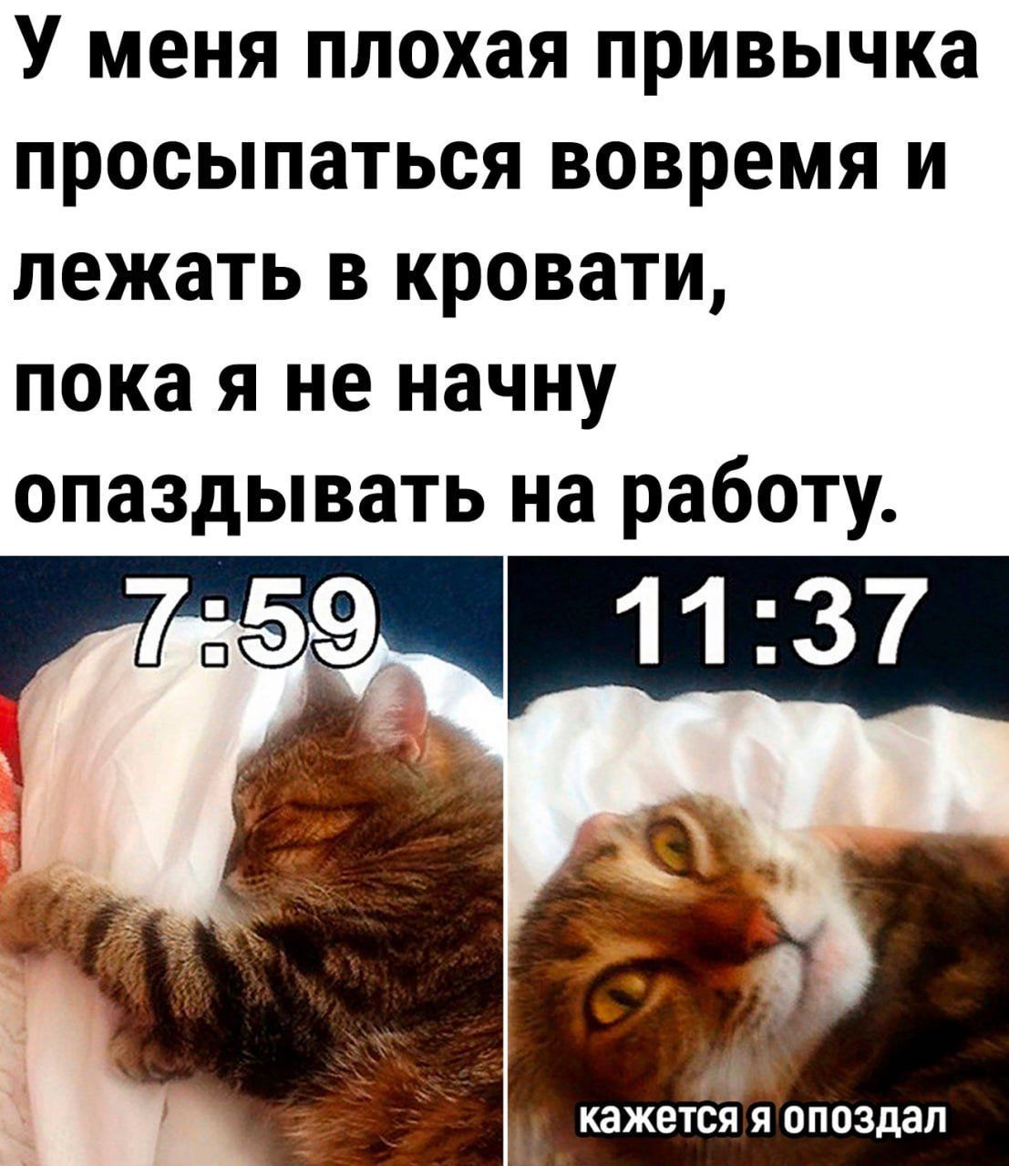 У меня плохая привычка просыпаться вовремя и лежать в кровати, пока я не начну опаздывать на работу.
7:59
11:37
кажется я опоздал