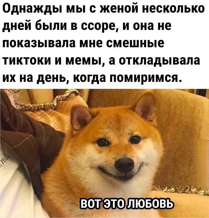 Однажды мы с женой несколько дней были в ссоре, и она не показывала мне смешные тиктоки и мемы, а откладывала их на день, когда помиримся.
ВОТ ЭТО ЛЮБОВЬ
