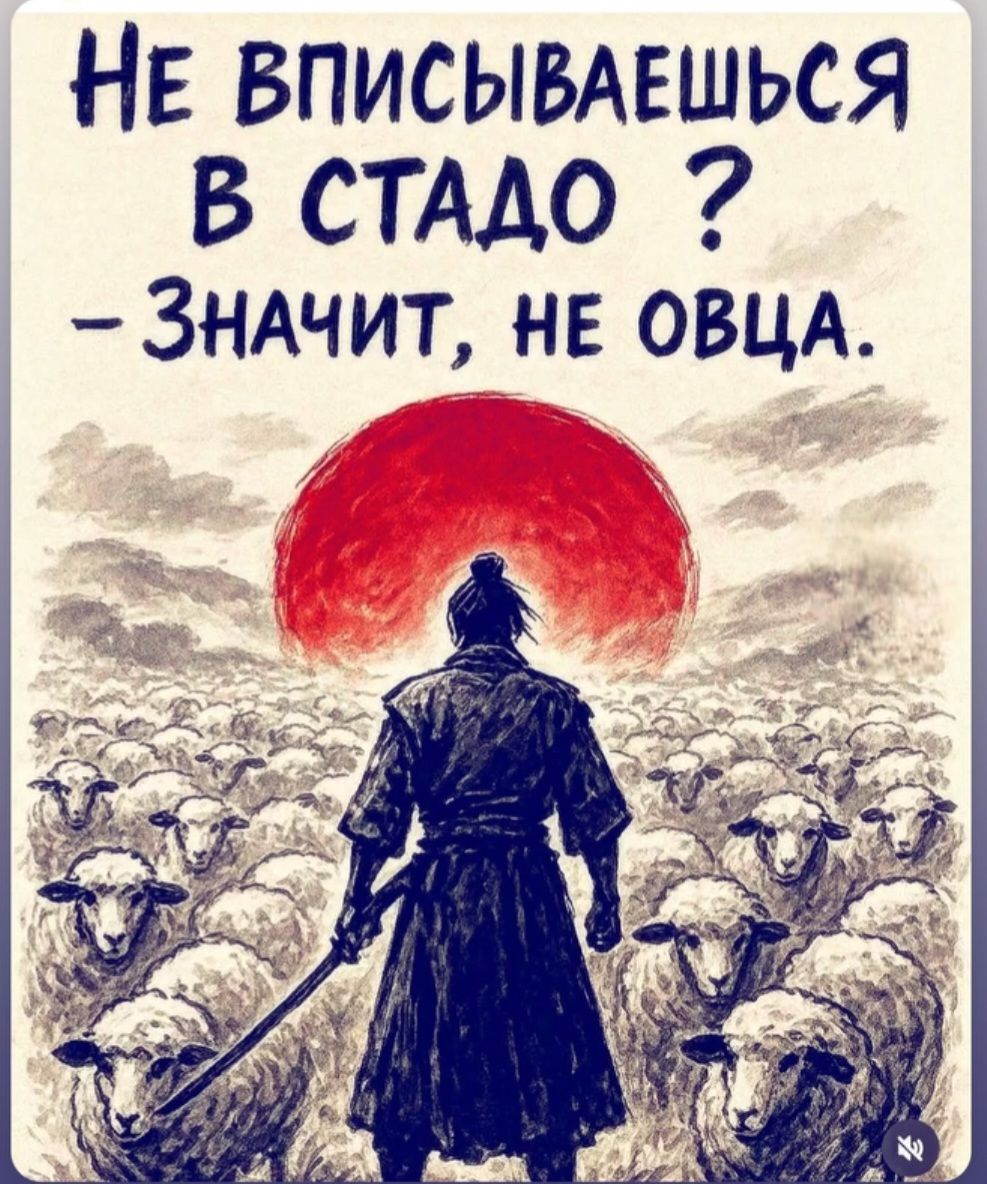 Не вписываешься в стадо? – Значит, не овца.