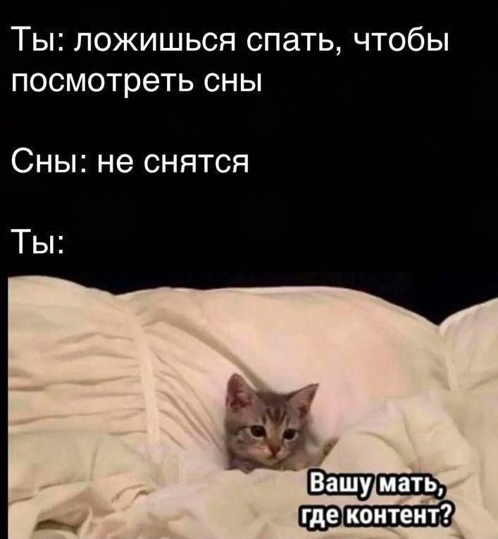 Ты: ложишься спать, чтобы посмотреть сны
Сны: не снятся
Ты:
Вашу мать, где контент?
