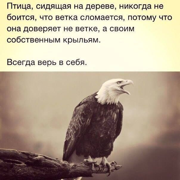 Птица, сидящая на дереве, никогда не боится, что ветка сломается, потому что она доверяет не ветке, а своим собственным крыльям.
Всегда верь в себя.