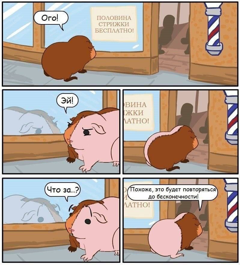 Ого!
Эй!
Что за.. 
Похоже, это будет повторяться до бесконечности!