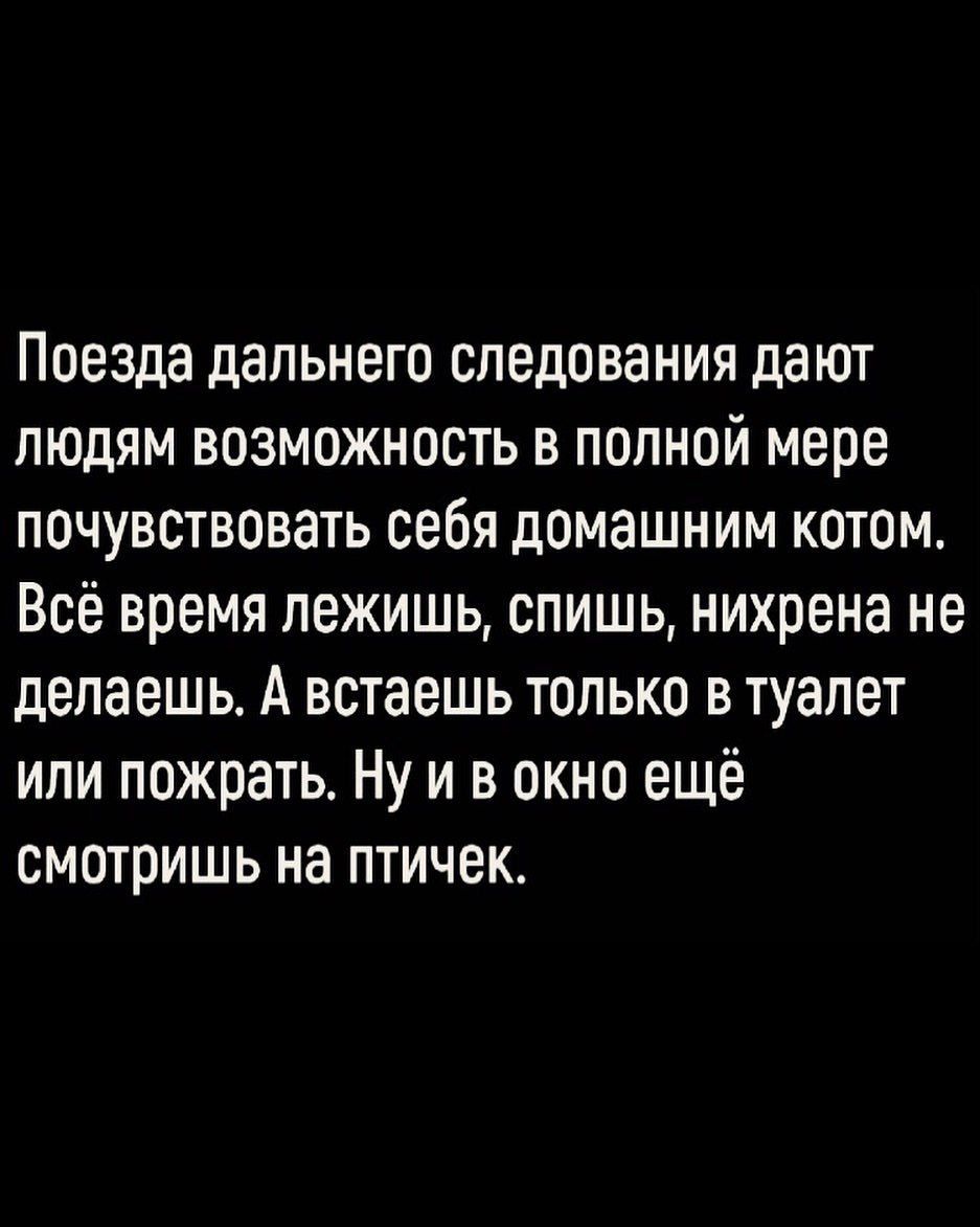 Поезда дальнего следования дают людям возможность в полной мере почувствовать себя домашним котом. Всё время лежишь, спишь, нихрена не делаешь. А встаешь только в туалет или пожрать. Ну и в окно ещё смотришь на птичек.