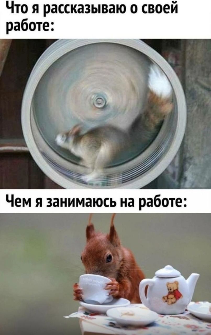 Что я рассказываю о своей работе: Чем я занимаюсь на работе: