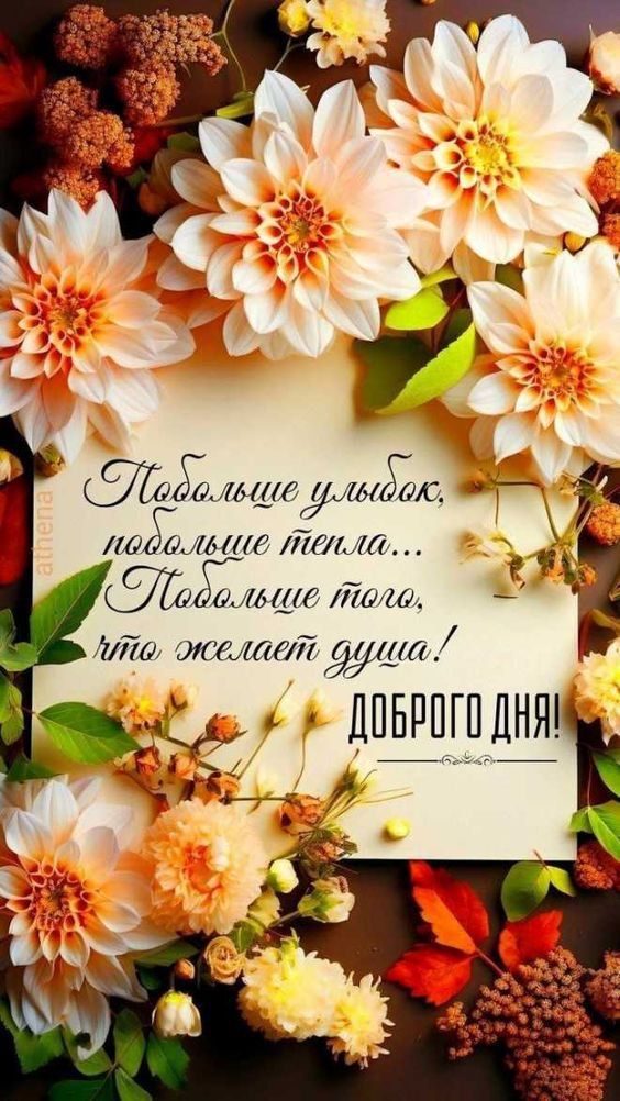 Побольше улыбок, побольше тепла... Побольше того, что желает душа! ДОБРОГО ДНЯ!