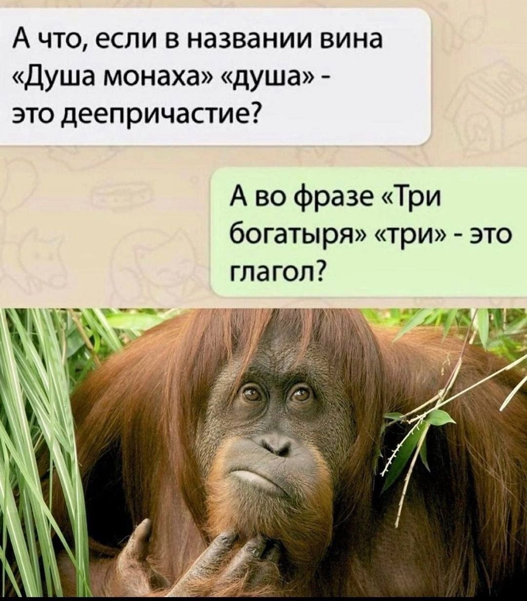 А что, если в названии вина «Душа монахa» «душа» - это деепричастие? А во фразе «Три богатыря» «три» - это глагол?