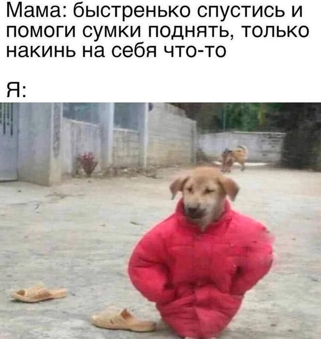 Мама: быстренько спустись и помоги сумки поднять, только накинь на себя что-то
Я: