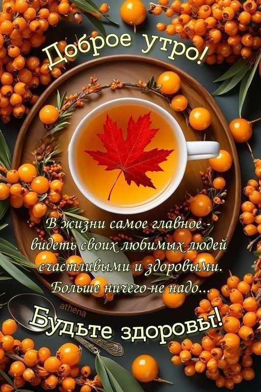 Доброе утро!
В жизни самое главное – видеть своих любимых людей счастливыми и здоровыми. Больше ничего не надо...
Будьте здоровы!