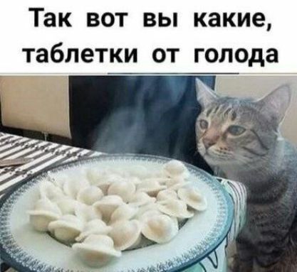 Так вот вы какие, таблеточки от голода