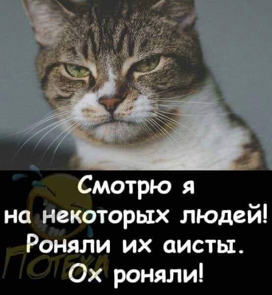 Смотрю я на некоторых людей! Роняли их аисты. Ох роняли!