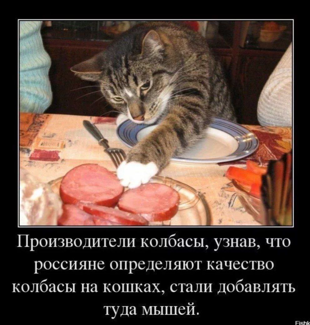 Производители колбасы, узнав, что россияне определяют качество колбасы на кошках, стали добавлять туда мышей.