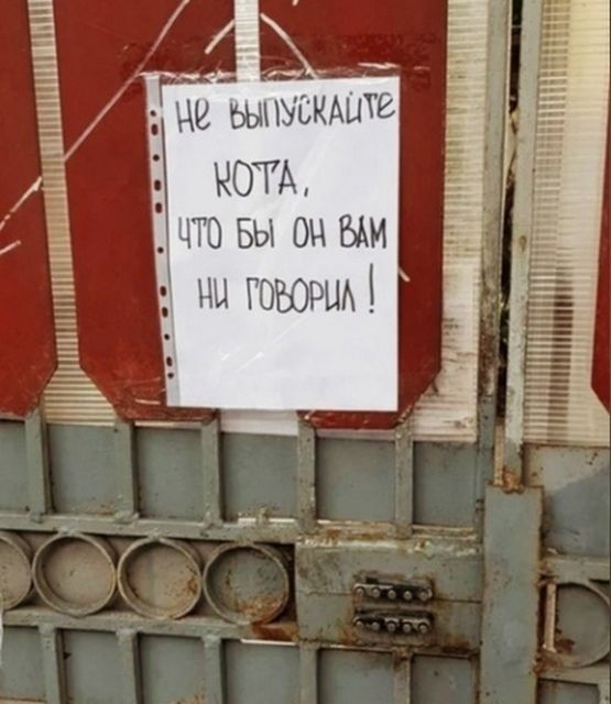 НЕ ВЫПУСКАЙТЕ КОТА, ЧТО БЫ ОН ВАМ НИ ГОВОРИЛ!