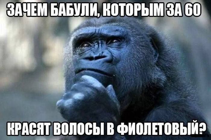 Зачем бабули, которым за 60 красят волосы в фиолетовый?