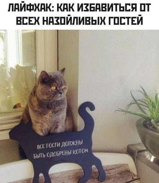 ЛАЙФХАК: КАК ИЗБАВИТЬСЯ ОТ ВСЕХ НАЗОЙЛИВЫХ ГОСТЕЙ
ВСЕ ГОСТИ ДОЛЖНЫ БЫТЬ ОДОБРЕНЫ КОТОМ