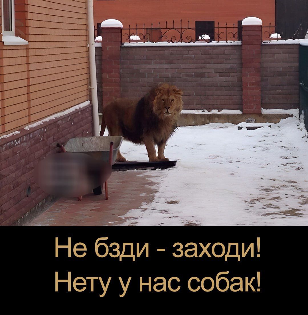 Не бдзi - заходи! Нету у нас собак!