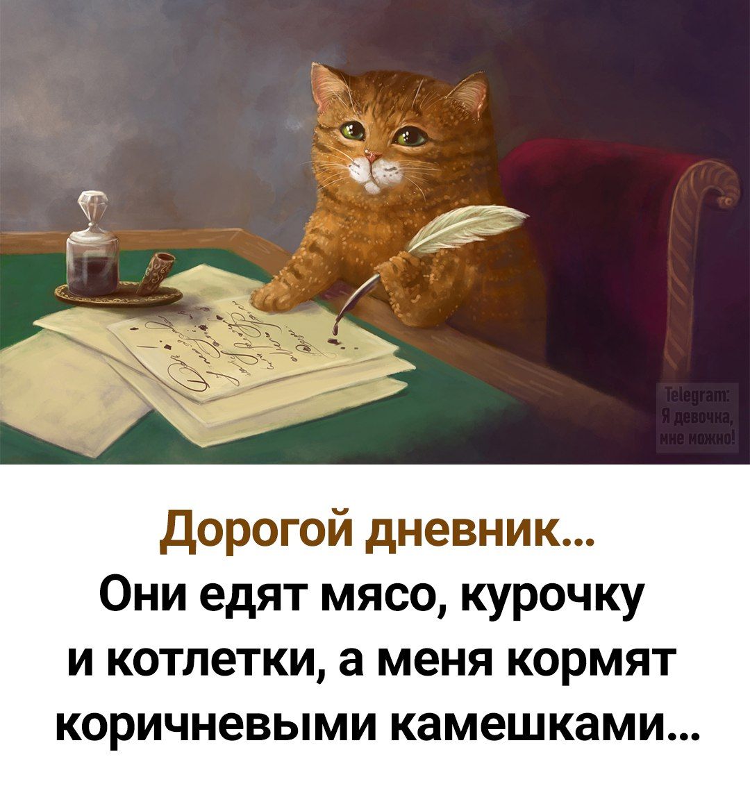 Дорогой дневник... Они едят мясо, курочку и котлетки, а меня кормят коричневыми камешками...