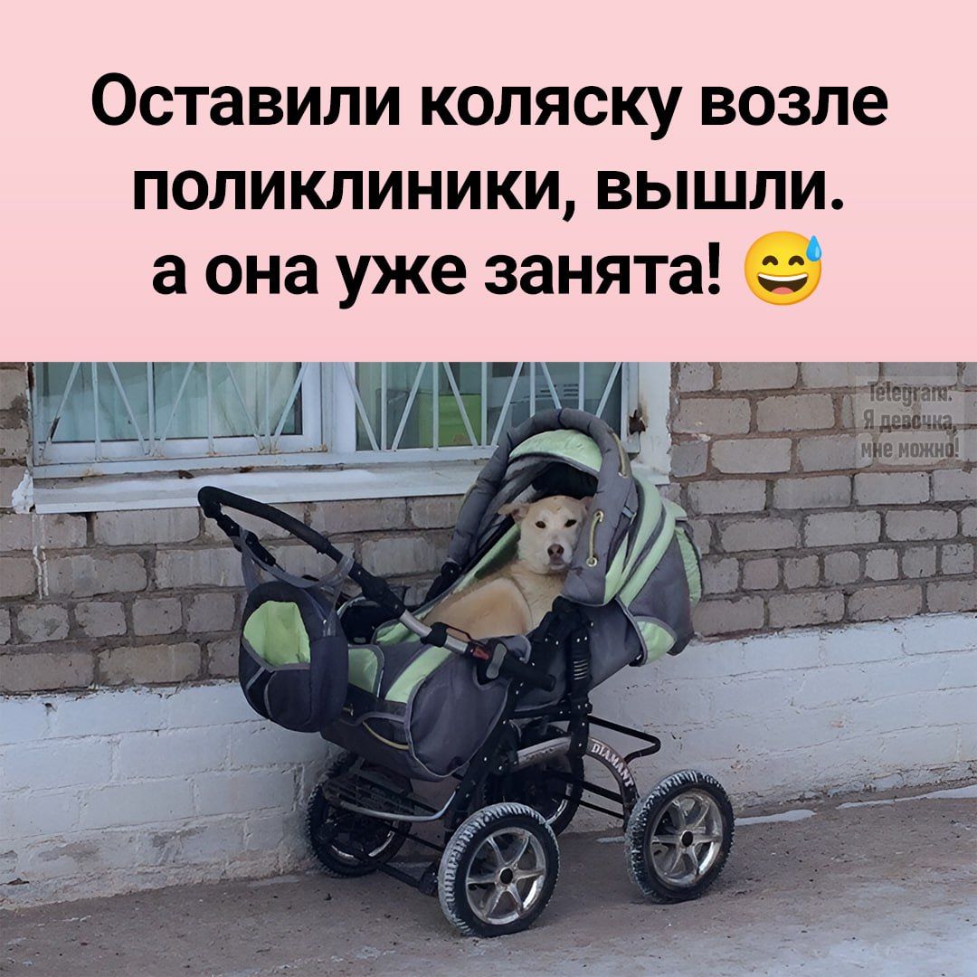 Оставили коляску возле поликлиники, вышли. а она уже занята! 😅