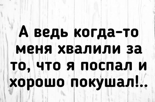 А ведь когда-то меня хвалили за то, что я поспал и хорошо покушал!..