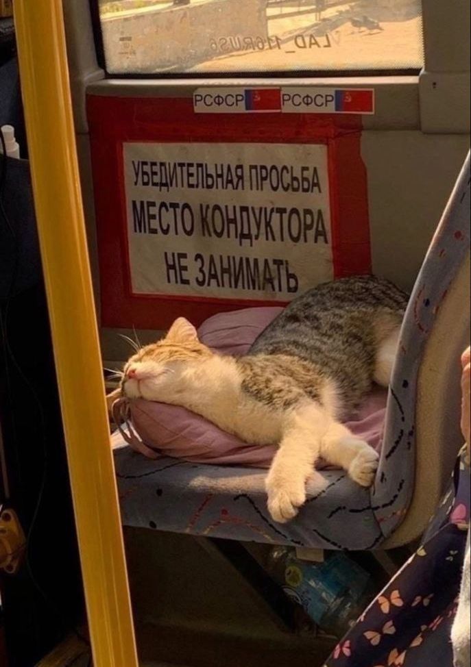УБЕДИТЕЛЬНАЯ ПРОСЬБА МЕСТО КОНДУКТОРА НЕ ЗАНИМАТЬ