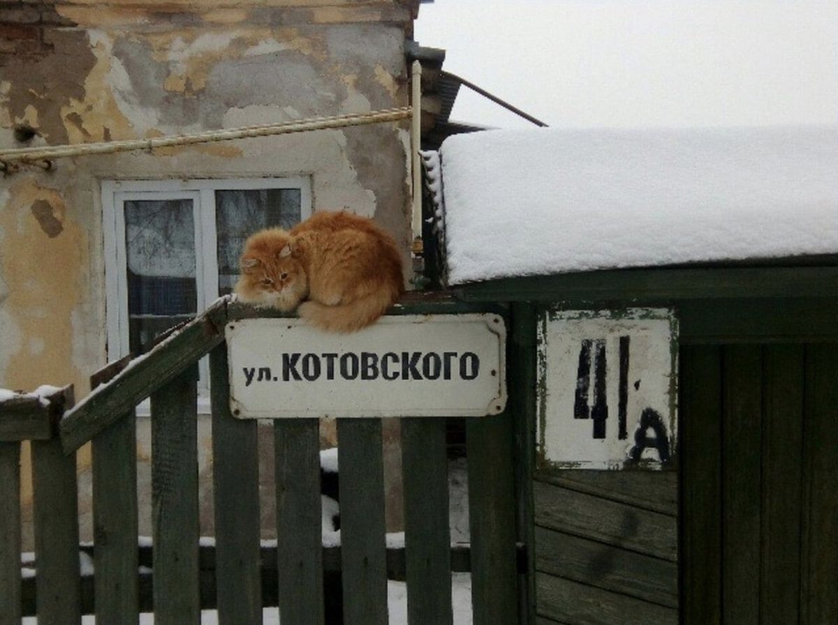 ул. Котовского
4а