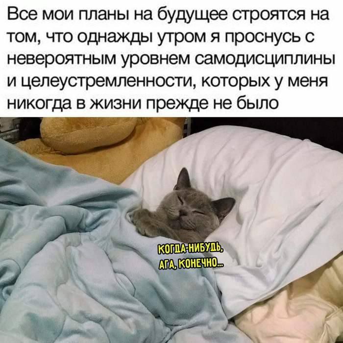 Все мои планы на будущее строятся на том, что однажды утром я проснусь с невероятным уровнем самодисциплины и целеустремленности, которых у меня никогда в жизни прежде не было
Когда-нибудь, ага, конечно...