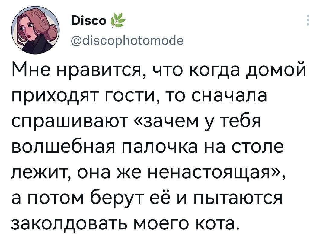 Мне нравится, что когда домой приходят гости, то сначала спрашивают «зачем у тебя волшебная палочка на столе лежит, она же ненастоящая», а потом берут её и пытаются заколдовать моего кота.