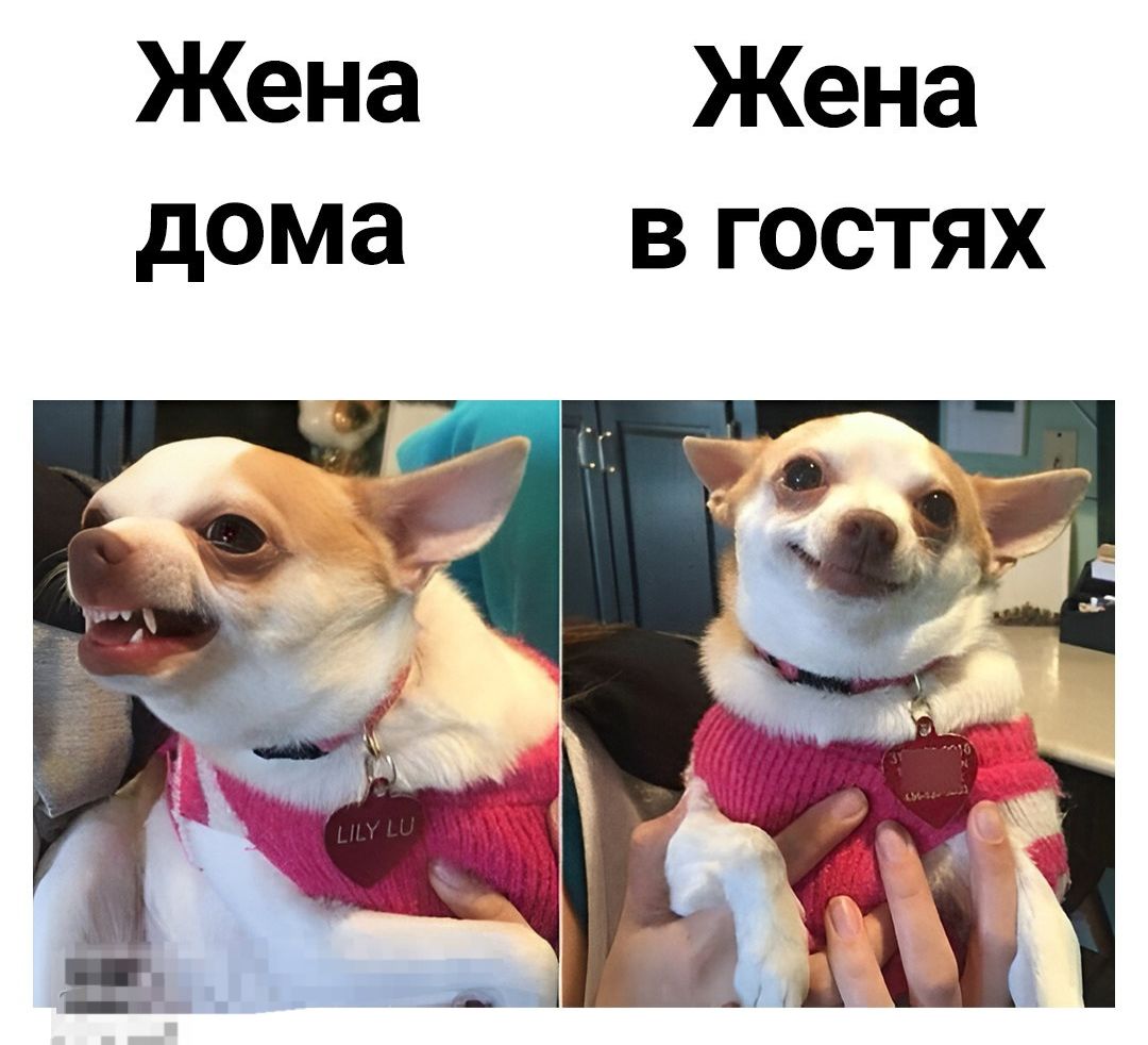 Жена дома
Жена в гостях
LILY LO