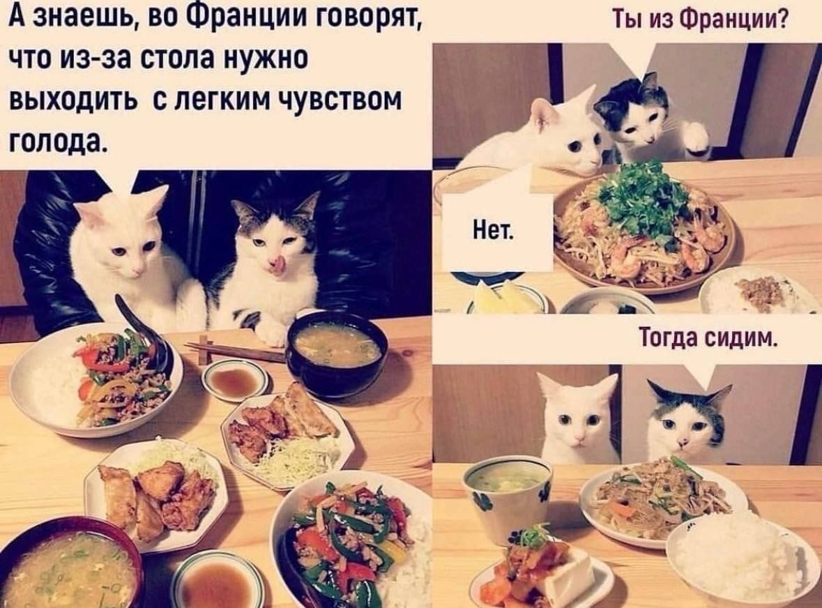 А знаешь, во Франции говорят, что из-за стола нужно выходить с легким чувством голода. Ты из Франции? Нет. Тогда сидим.