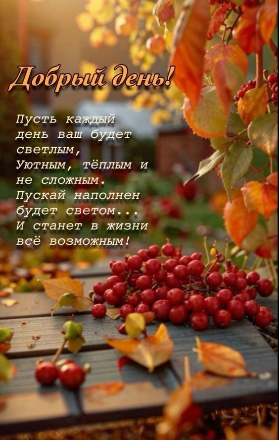 Добрый день!
Пусть каждый день ваш будет светлым, уютным, тёплым и не сложным. Пусть будет наполнен светом... И станет в жизни всё возможным!