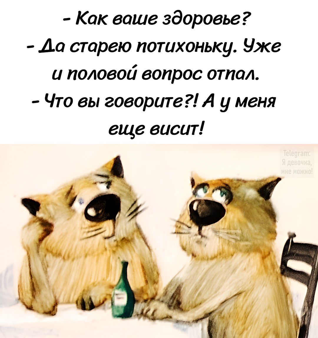 - Как ваше здоровье?
- Да старее потихоньку. Уже и половой вопрос откал.
- Что вы говорите?! А у меня еще висит!