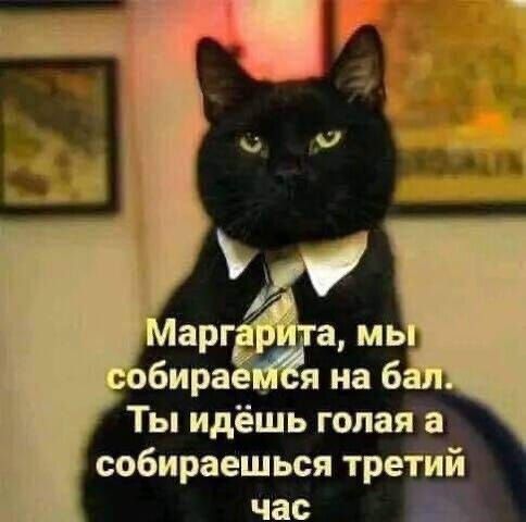 Маргарита, мы собираемся на бал. Ты идёшь голая а собираешься третий час