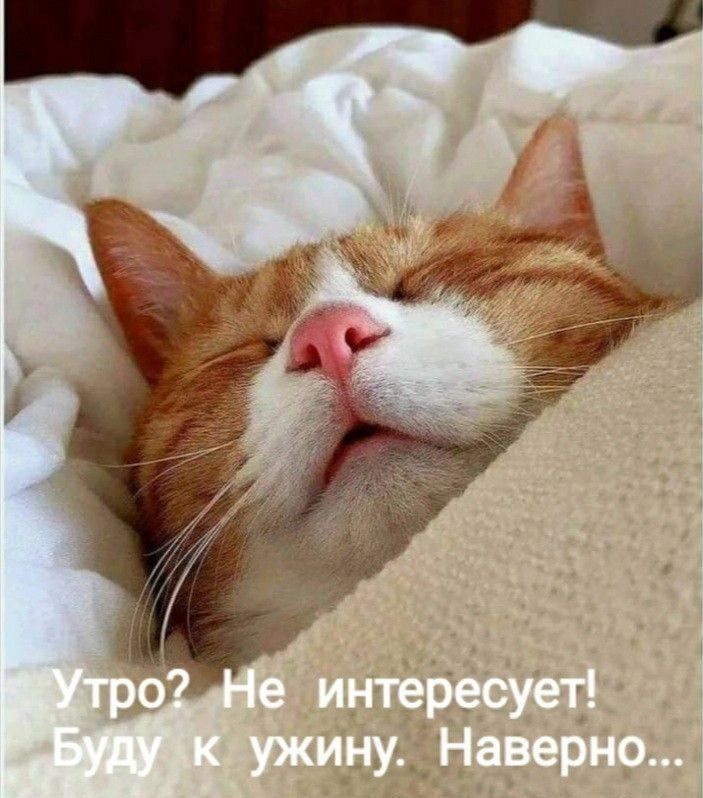 Утро? Не интересно! Буду к ужину. Наверно...