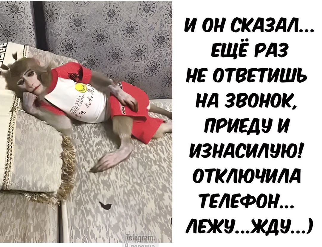 И он сказал... ЕЩЁ РАЗ НЕ ОТВЕТИШЬ НА ЗВОНОК, ПРИЕДУ И ИЗНАСИЛУЮ! ОТКЛЮЧИЛА ТЕЛЕФОН... ЛЕЖУ...ЖДУ...