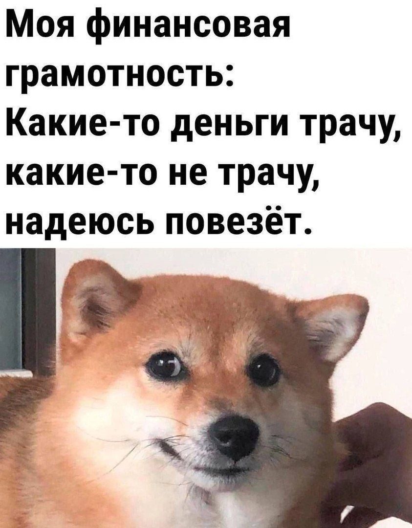 Моя финансовая грамотность: Какие-то деньги трачу, какие-то не трачу, надеюсь повезёт.
